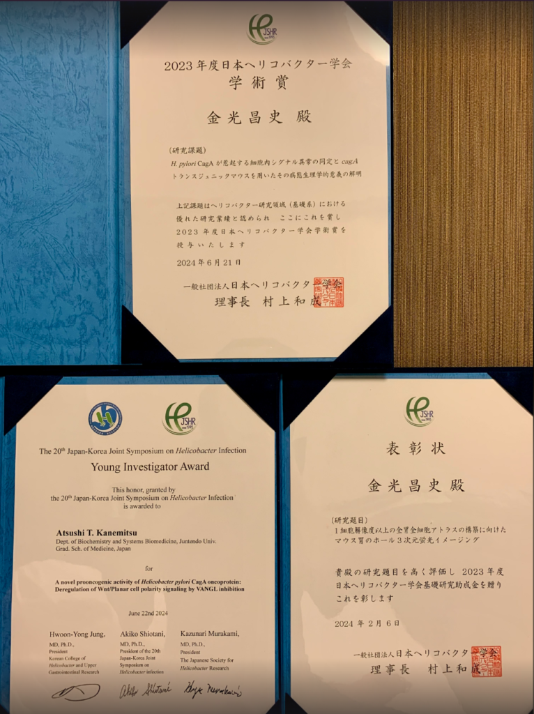 <span class="title">RESEARCH AWARD of The Japanese Society for Helicobacter Research, to Dr. ATSUSHI T. KANEMITSU</span>